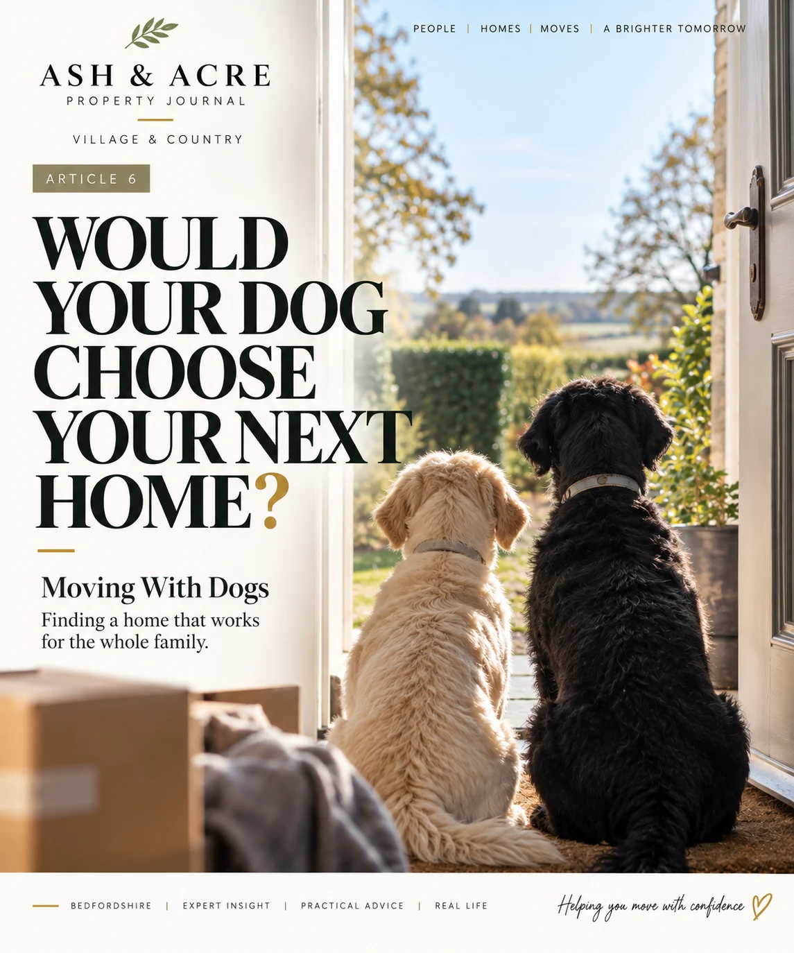 Would your dog choose your next home? Locked cover featuring Lottie, black, and Araya, cream, looking towards the garden